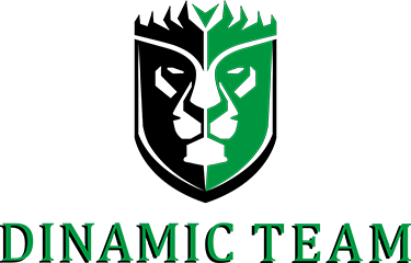 Dinamic Team logo
